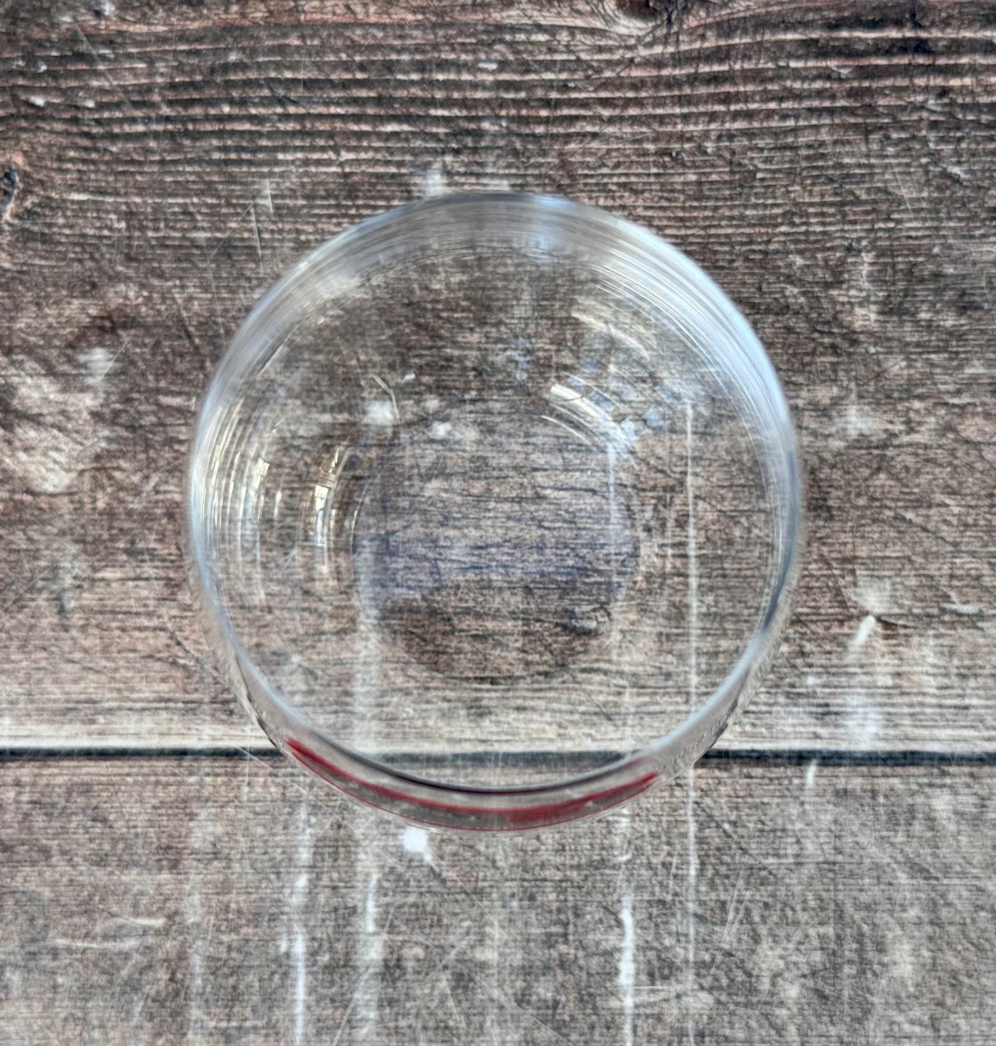 Riedel Sauvignon Blanc / Riesling Crystal Stemless Wine Glasses, Box of 2