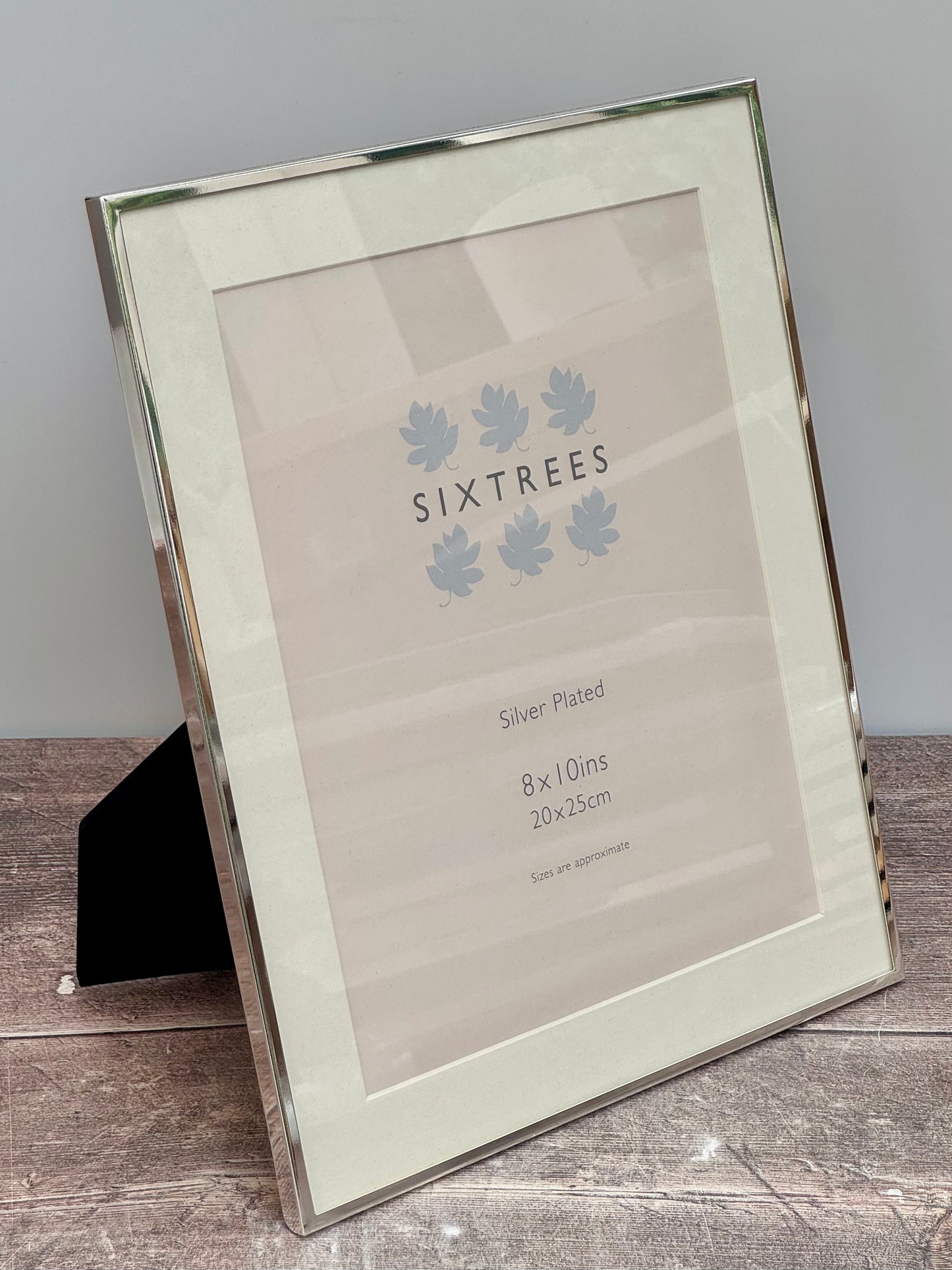 Sixtrees Silver Plated Photo Frame with Aperture, 8’ x 10’