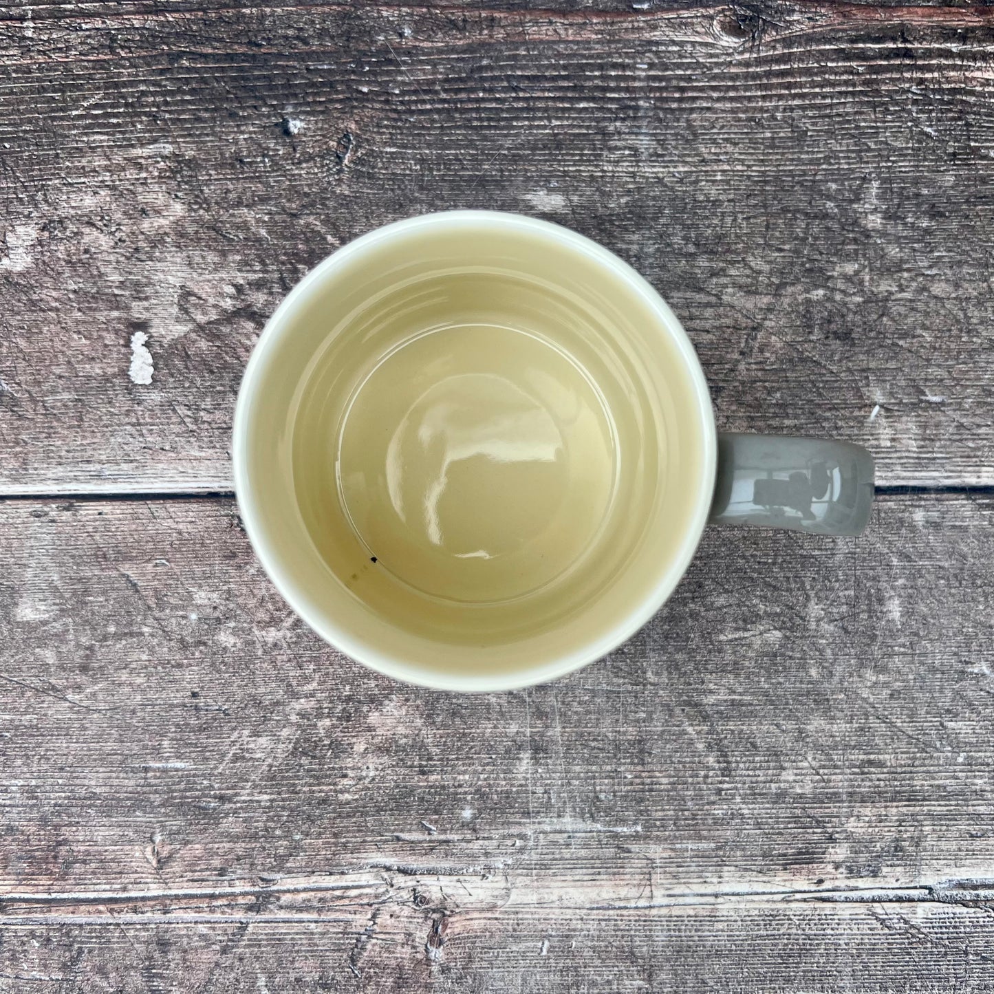 Grey Black & White Cat Mug