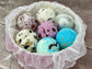 Reach for the Stars Bath Melt Set