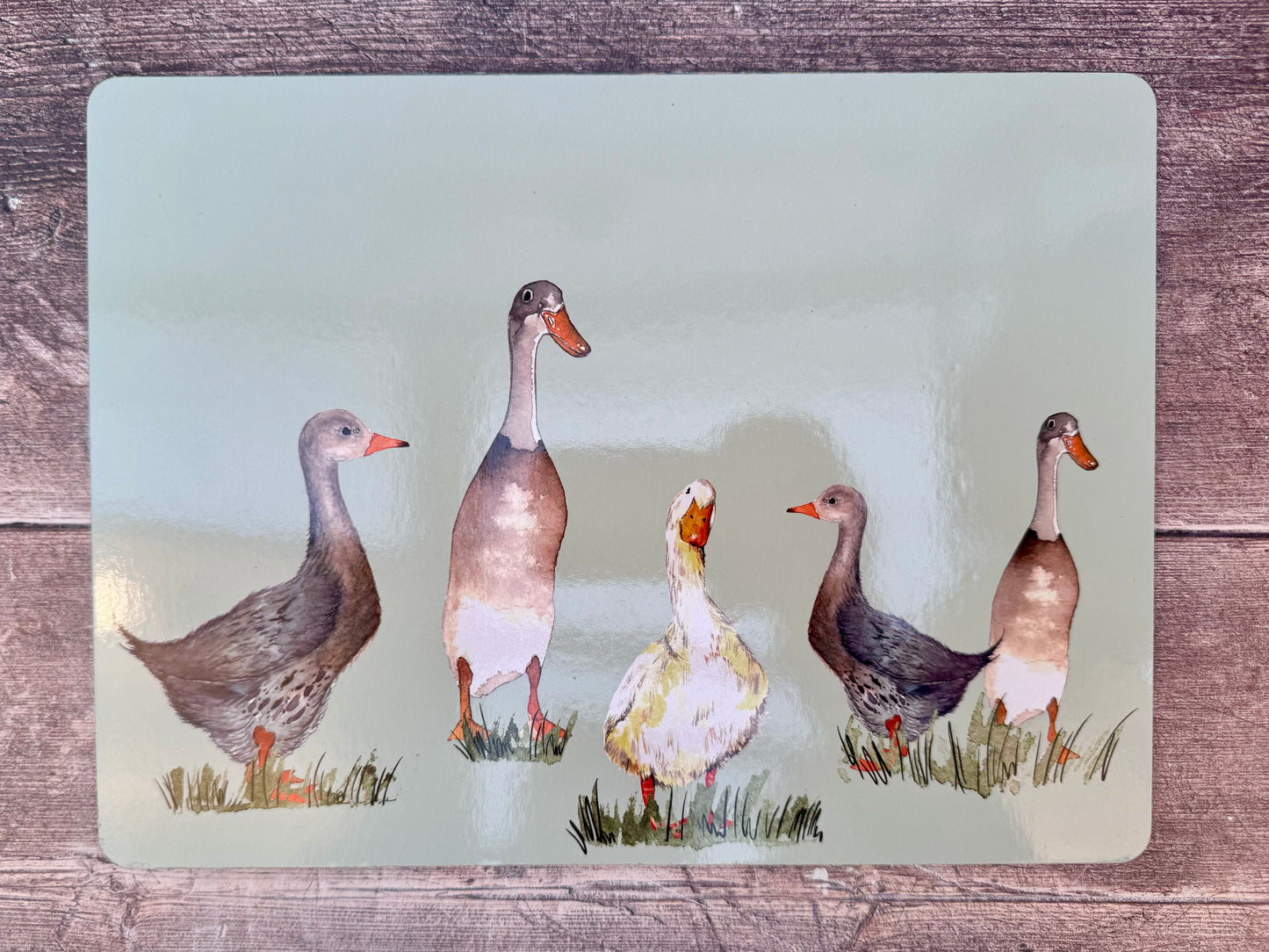 Green Goose Design Placemat (sold individually)