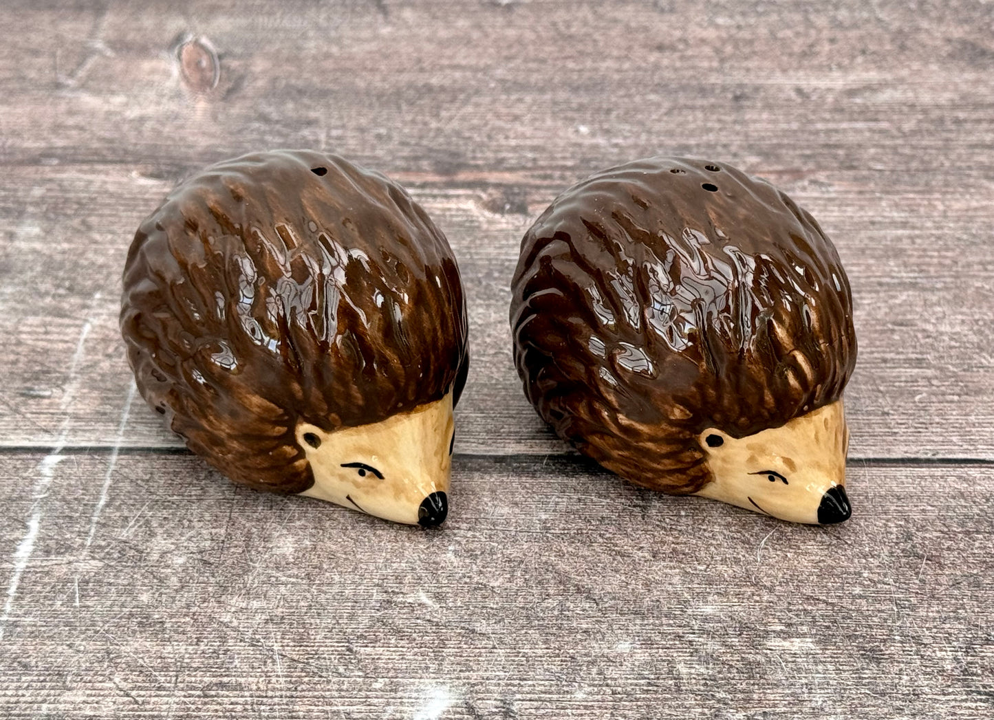 Hedgehog Salt and Pepper Shakers