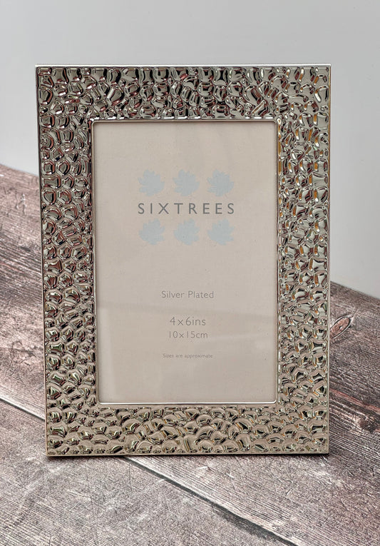 Sixtrees Reptile Patterned Border Photo Frame, 4’ x 6’