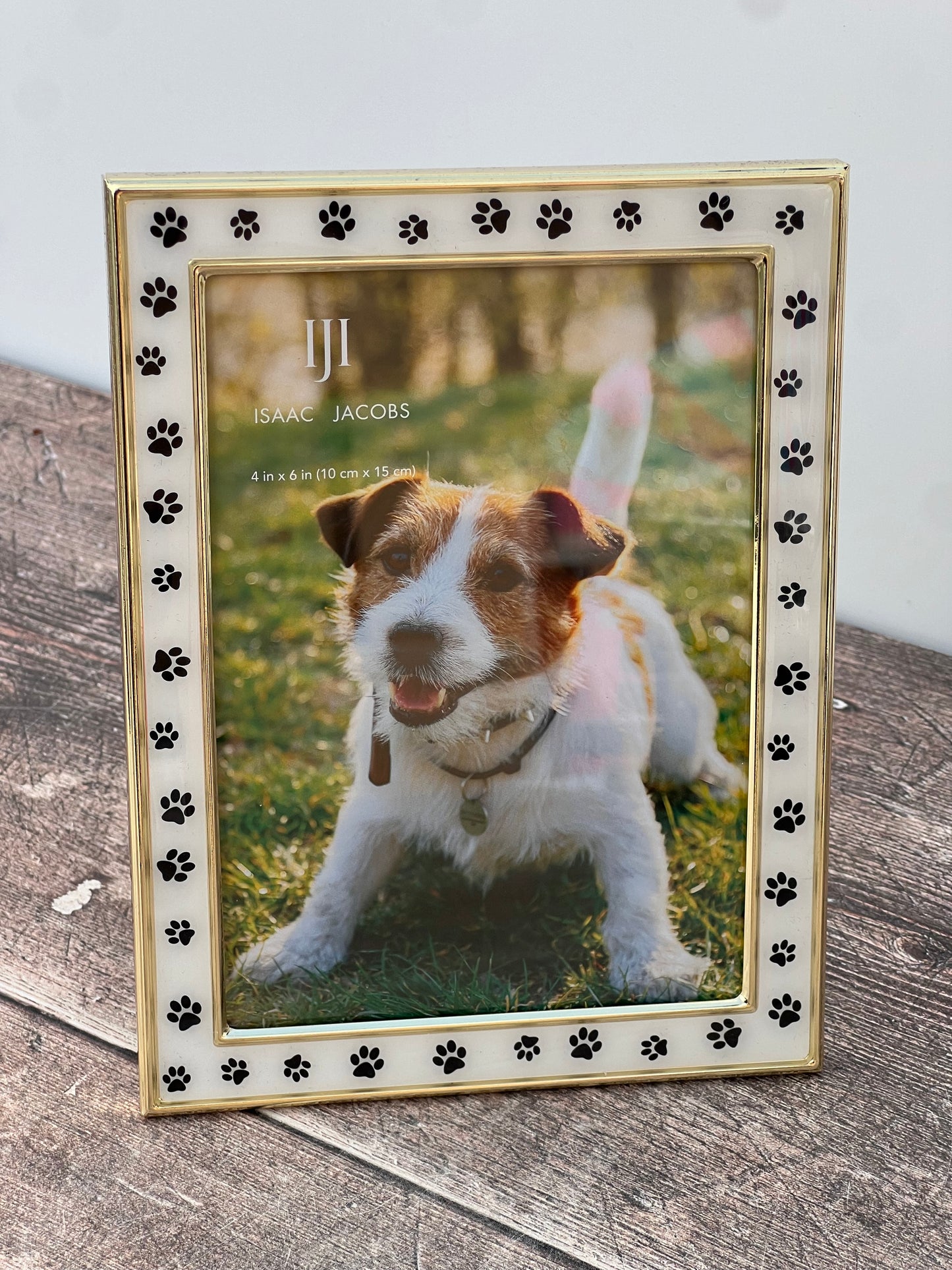 Isaac Jacobs Paw Print Patterned Photo Frame, 4’ x 6’