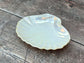 Shell Soap/Trinket Dish