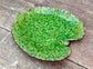 Light Green Alchemille Leaf Plate, 18cm