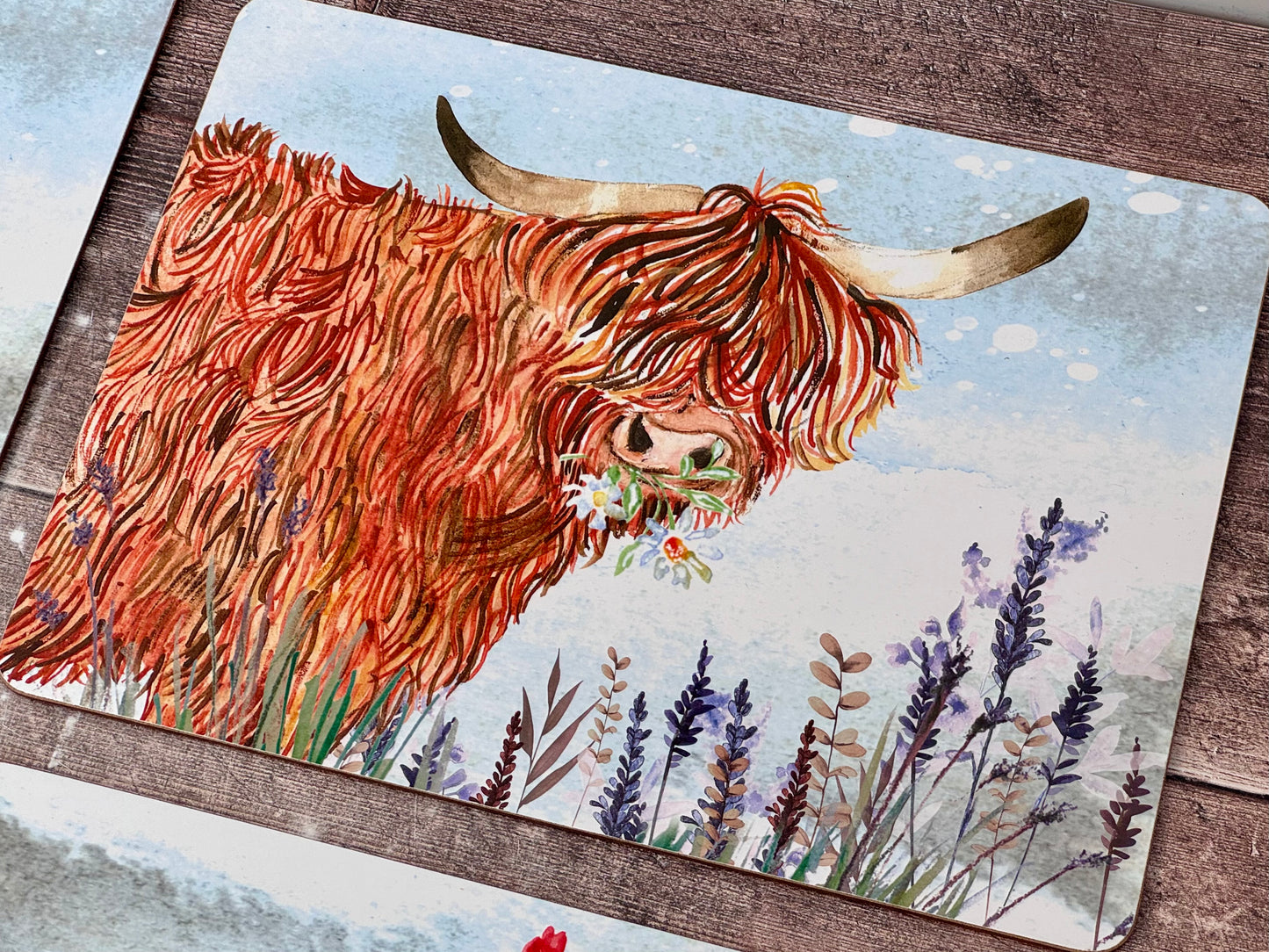 Set of 4 Rectangular Country Animal Placemats