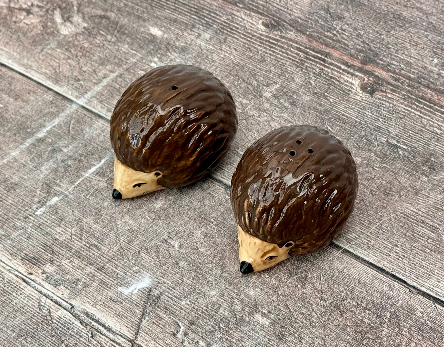 Hedgehog Salt and Pepper Shakers