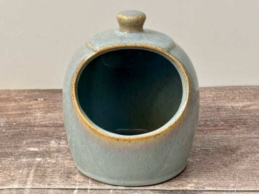 Scandi Home Duck Egg Blue Pig Salt
